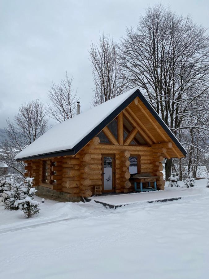 Вилла Chalet Pidstromom Микуличин Экстерьер фото