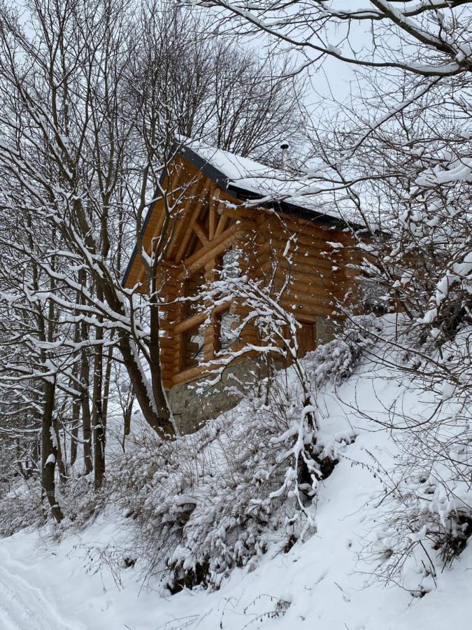 Вилла Chalet Pidstromom Микуличин Экстерьер фото