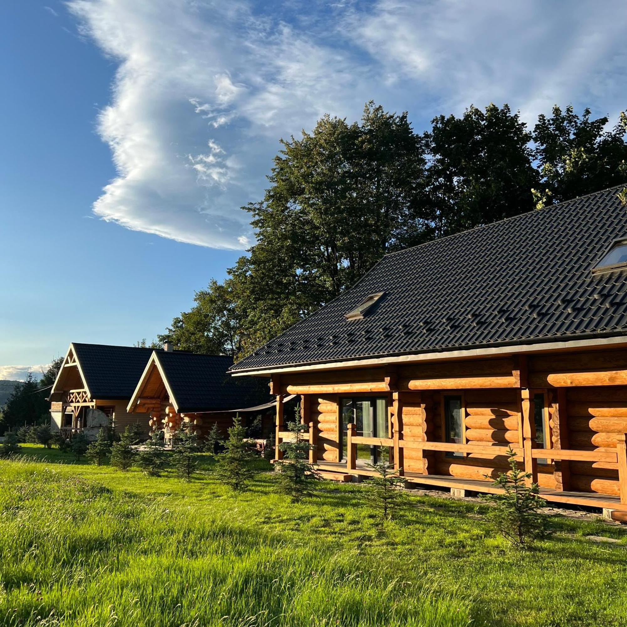 Вилла Chalet Pidstromom Микуличин Экстерьер фото